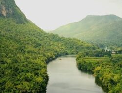 PERNYATAAN SIKAP Persekutuan Gereja-Gereja di Indonesia (PGI) tentang Pencabutan Izin Perhutanan 28 Perusahaan di Aceh, Sumatera Utara, dan Sumatera Barat