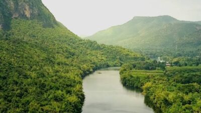 PERNYATAAN SIKAP Persekutuan Gereja-Gereja di Indonesia (PGI) tentang Pencabutan Izin Perhutanan 28 Perusahaan di Aceh, Sumatera Utara, dan Sumatera Barat
