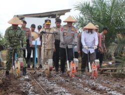 Wujudkan Ketahanan Pangan, Polda Kalteng Gandeng PT. MKM Tanam Jagung di Tengah Lahan Sawit