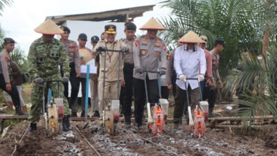 Wujudkan Ketahanan Pangan, Polda Kalteng Gandeng PT. MKM Tanam Jagung di Tengah Lahan Sawit