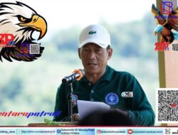 BUPATI MURUNG RAYA HADIRI PANEN PADI VARIETAS UNGGUL PADI GOGO