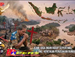 *Catatan Air Mata Ibu Pertiwi: Pesta Babi, Salib Merah, dan Ratapan Jiwa Hutan yang Terluka*