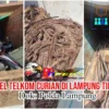 *Terbongkarnya Dugaan Pencurian Kabel PT Telkom, Berawal dari Temuan Tim PPWI di Lampung Timur*