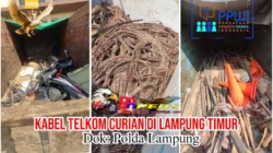*Terbongkarnya Dugaan Pencurian Kabel PT Telkom, Berawal dari Temuan Tim PPWI di Lampung Timur*