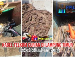 *Terbongkarnya Dugaan Pencurian Kabel PT Telkom, Berawal dari Temuan Tim PPWI di Lampung Timur*