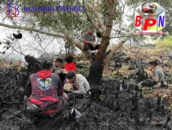 Lelahku untuk Kemanusiaan, Semoga Hujan Segera Turun
