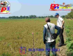 *Delapan Tahun Petani Segeran Kudul Berjibaku dengan Krisis Air, Embung Jadi Harapan*