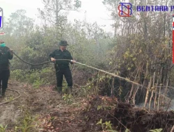 Hari Minggu Tak Surutkan Semangat Personel Polda Kalteng Padamkan Karhutla Demi Masyarakat